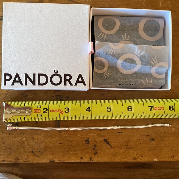 Pandora iconic Pandora Clasp Bracelet - Picture 5 of 9